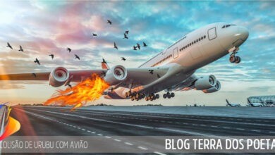 Colisão de Urubu com Avião Colisao de Urubu com Aviao