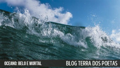 É preciso respeitar a natureza... Ou então... É preciso respeitar a natureza... Ou então...